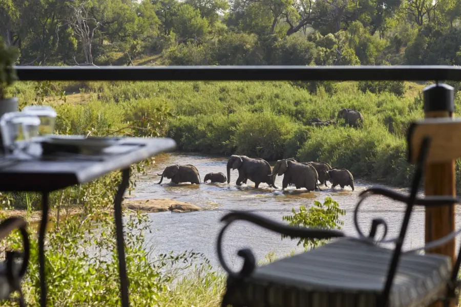 Avila Reizen Mauritius Lion Sands Tinga Lodge Deck elephants in river
