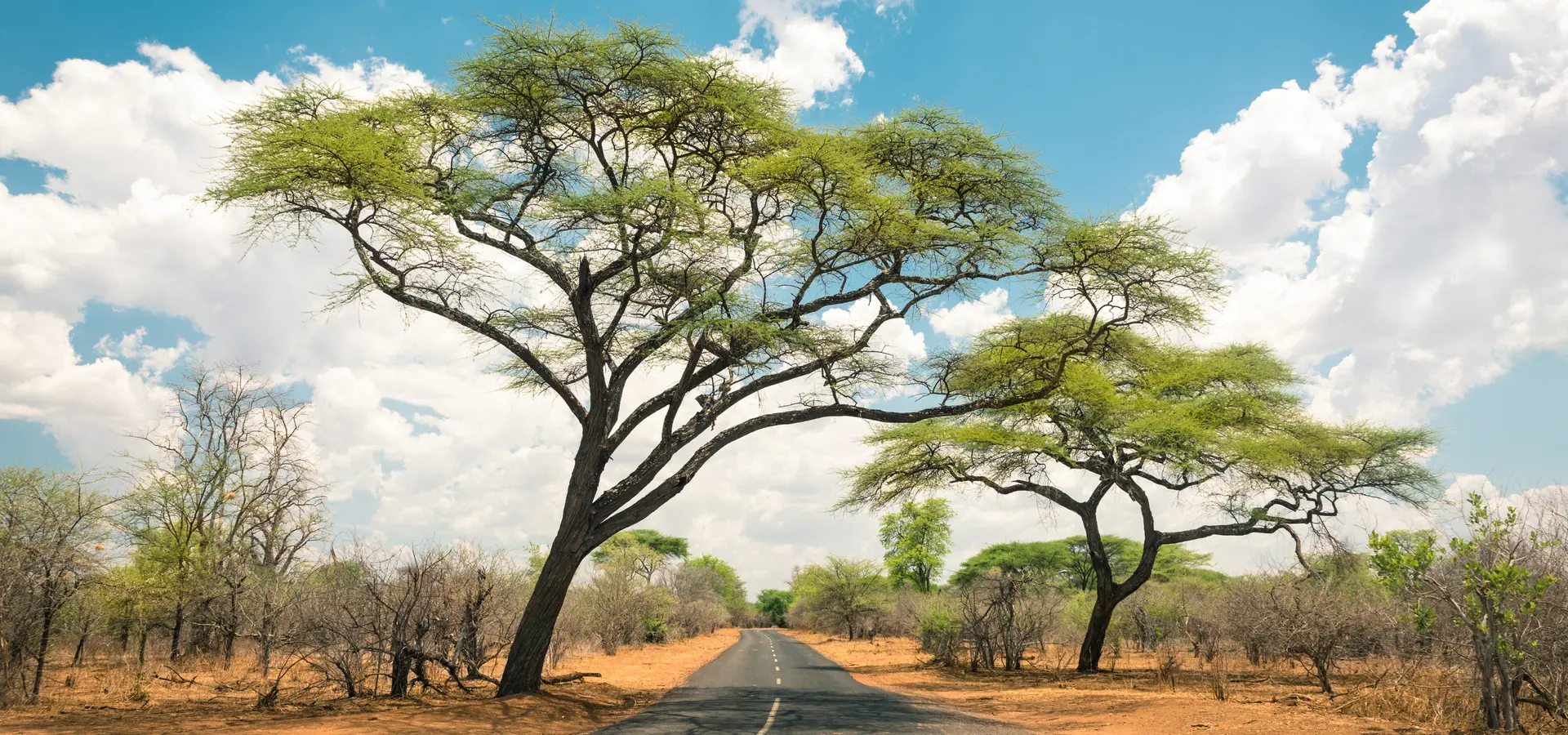Avila Travel Zimbabwe Zimbabwe ruins 5