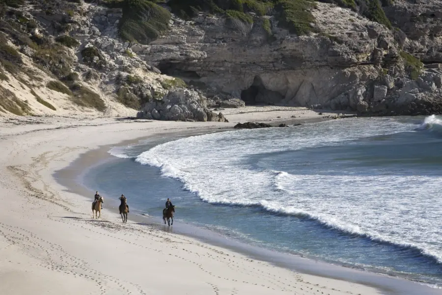 Avila Travel South Africa Walker Bay Nature Reserve Near Gansbaai