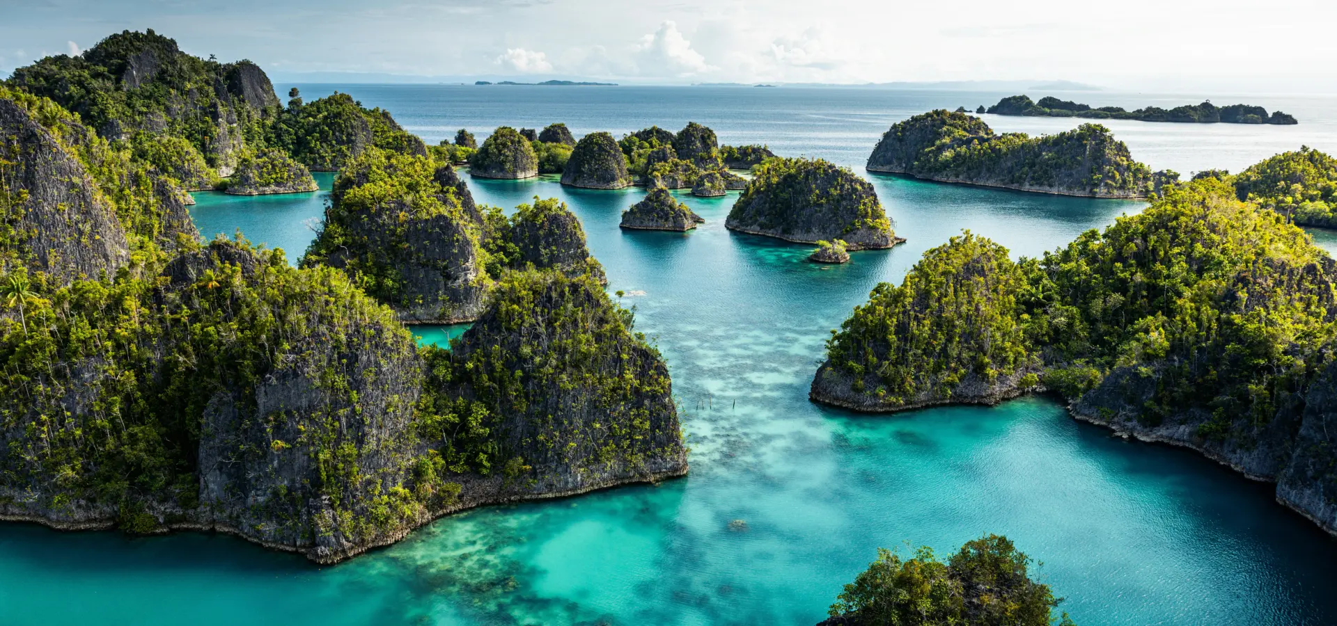 Avila Travel Raja Ampat