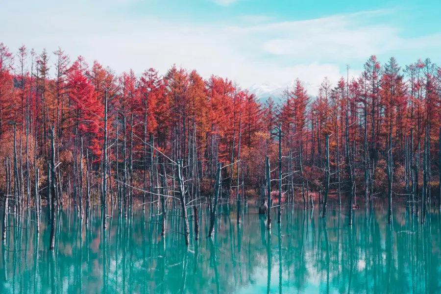 Avila Travel Japan Hokkaido Blue Pond