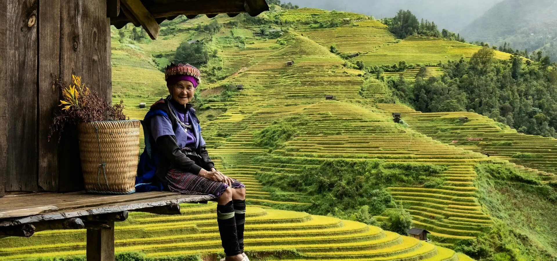 Avila Travel Vietnam view rice terrace