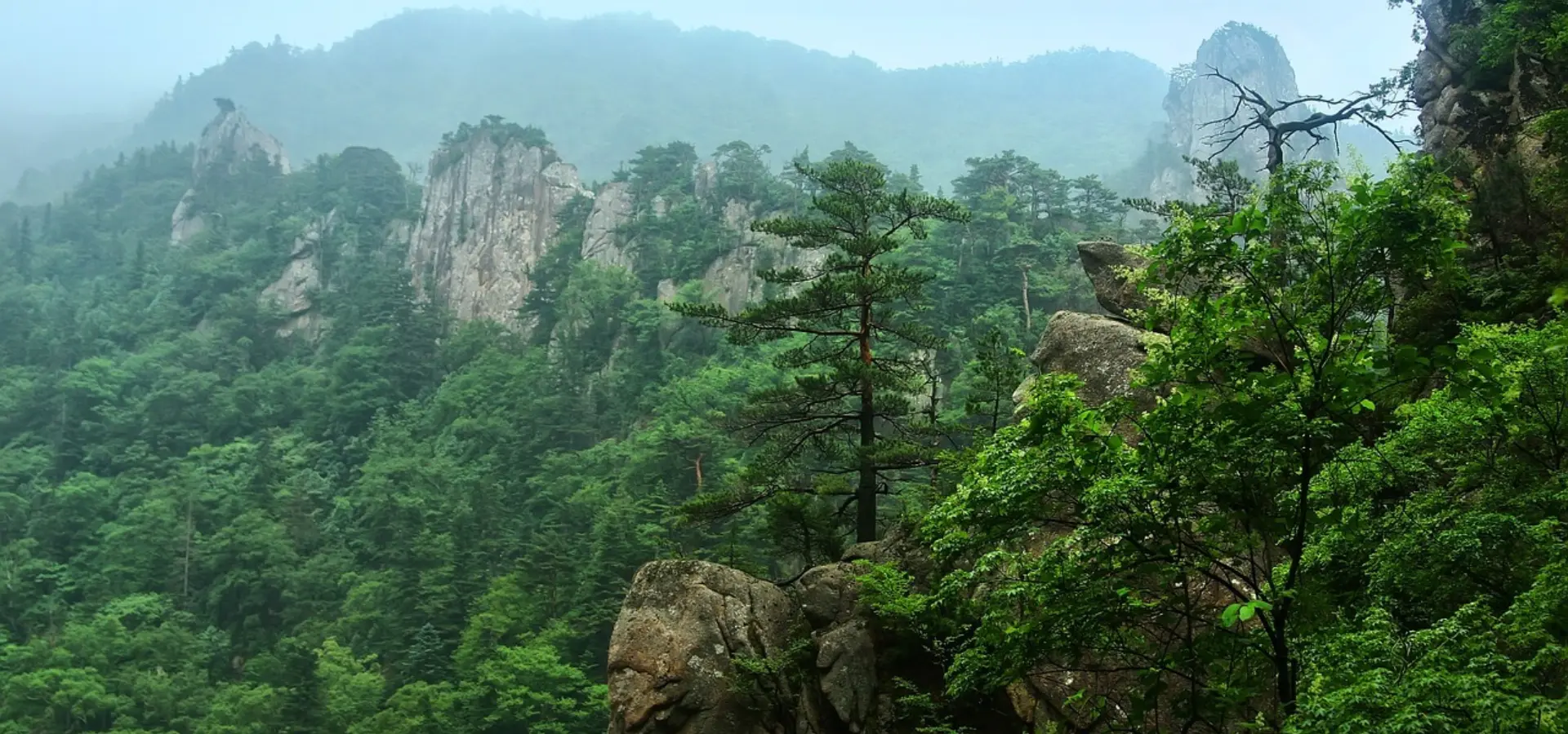 Avila Travel South Korea Seorak