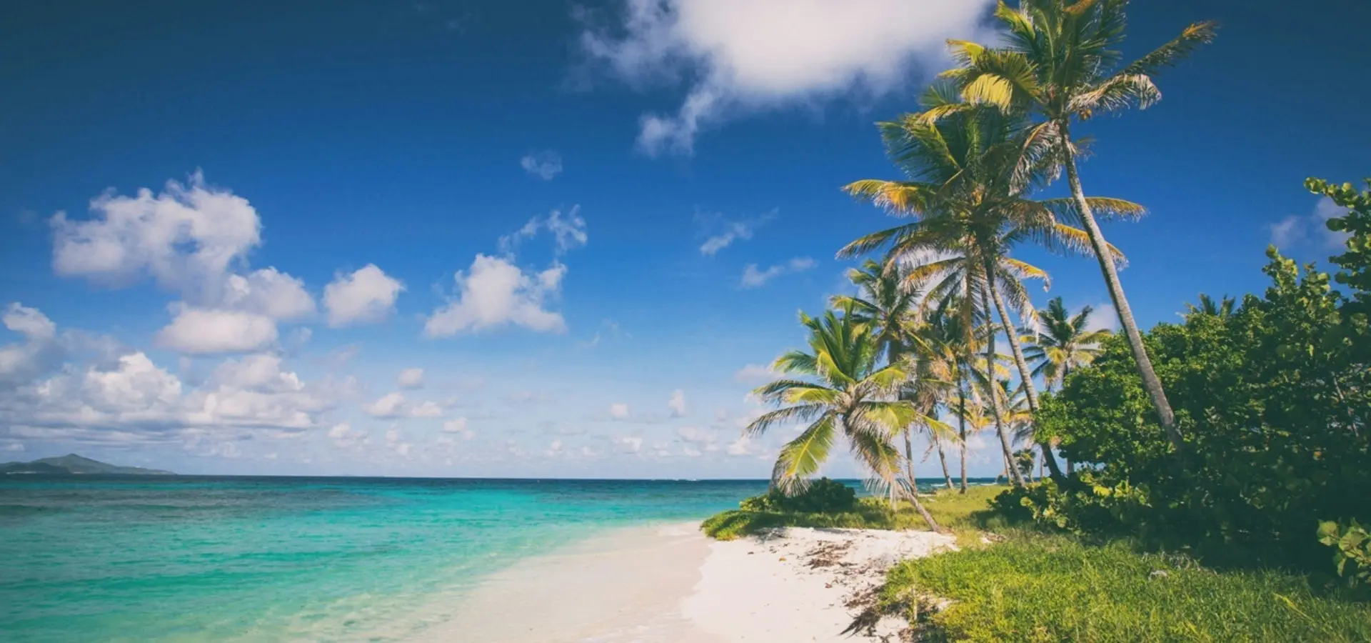 Avila Travel Caribbean tropical beach