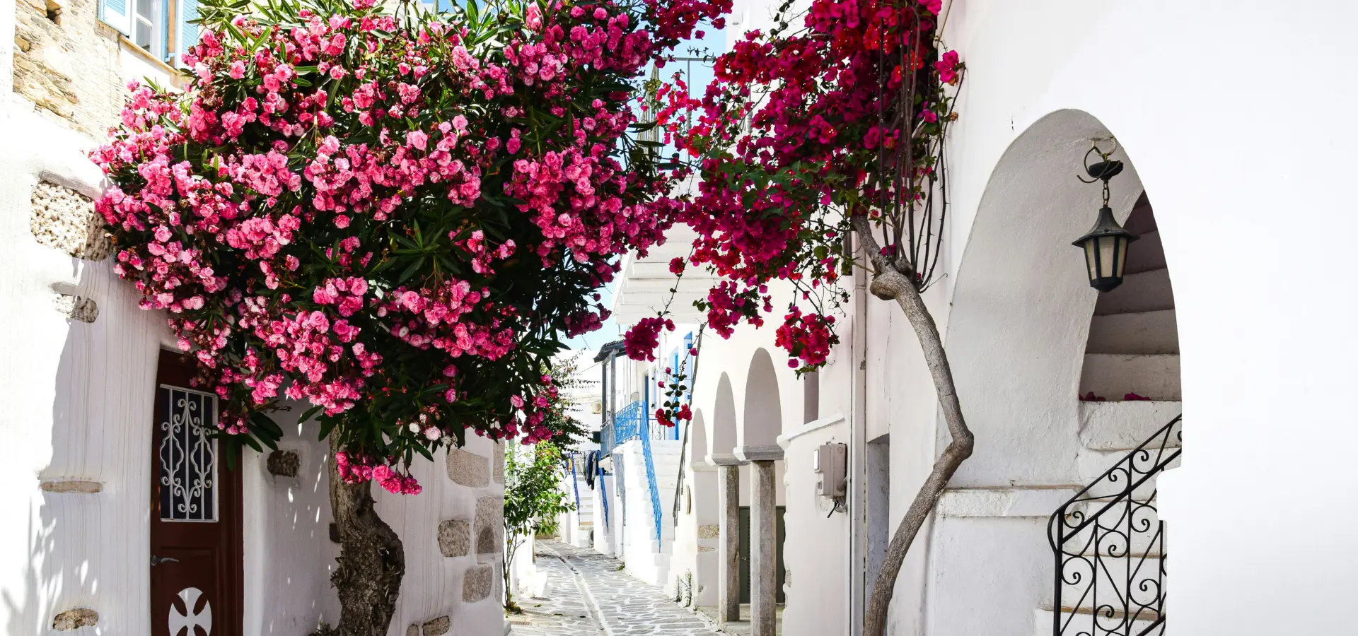 Avila Travel Greece Paros