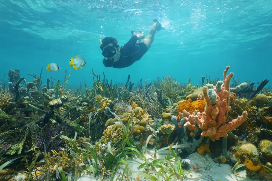 Avila Travel Belize Latin America snorkelling