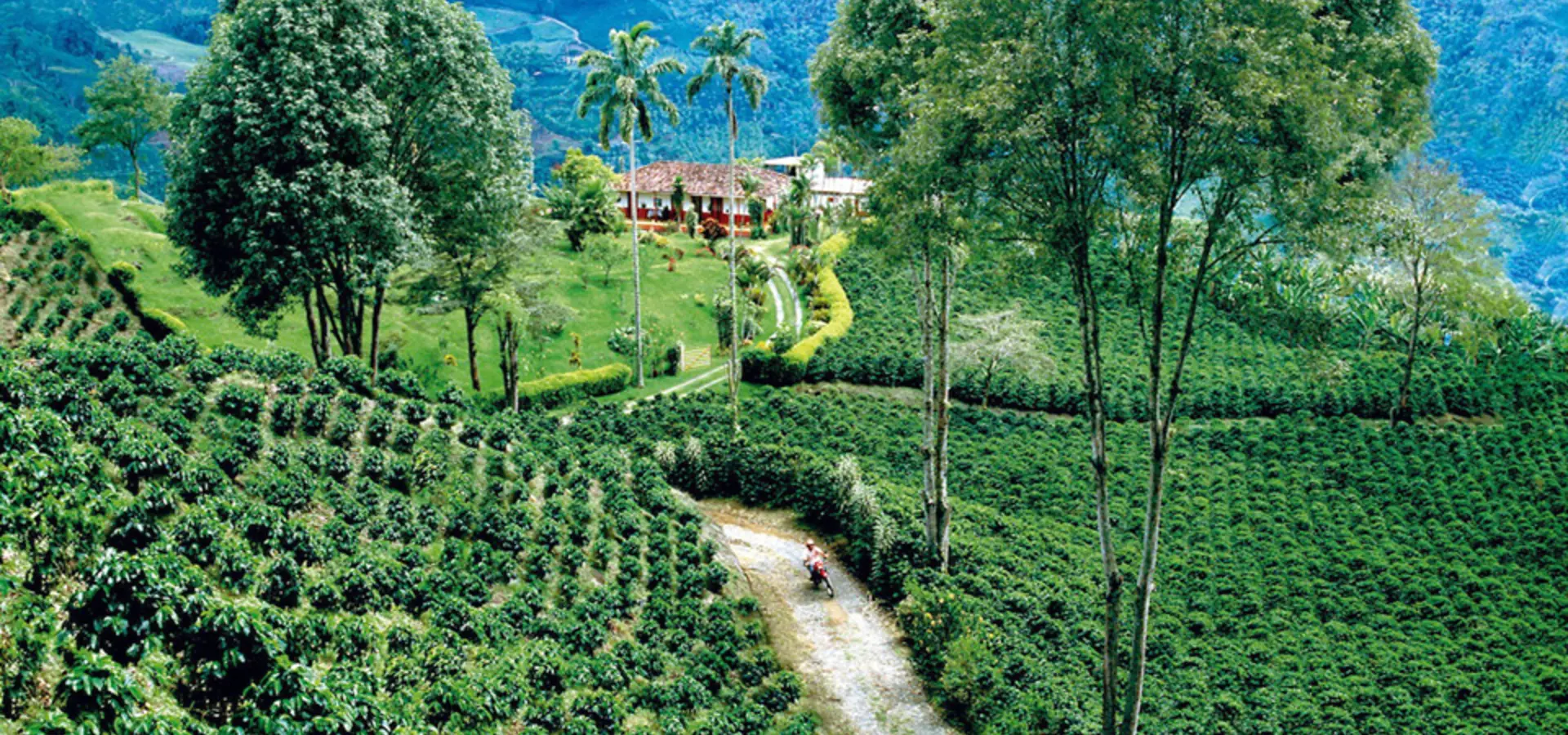 Avila Travel Colombia coffee region