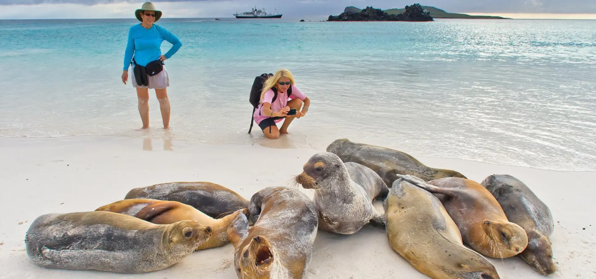 Avila Travel Galapagos seals National Geographic