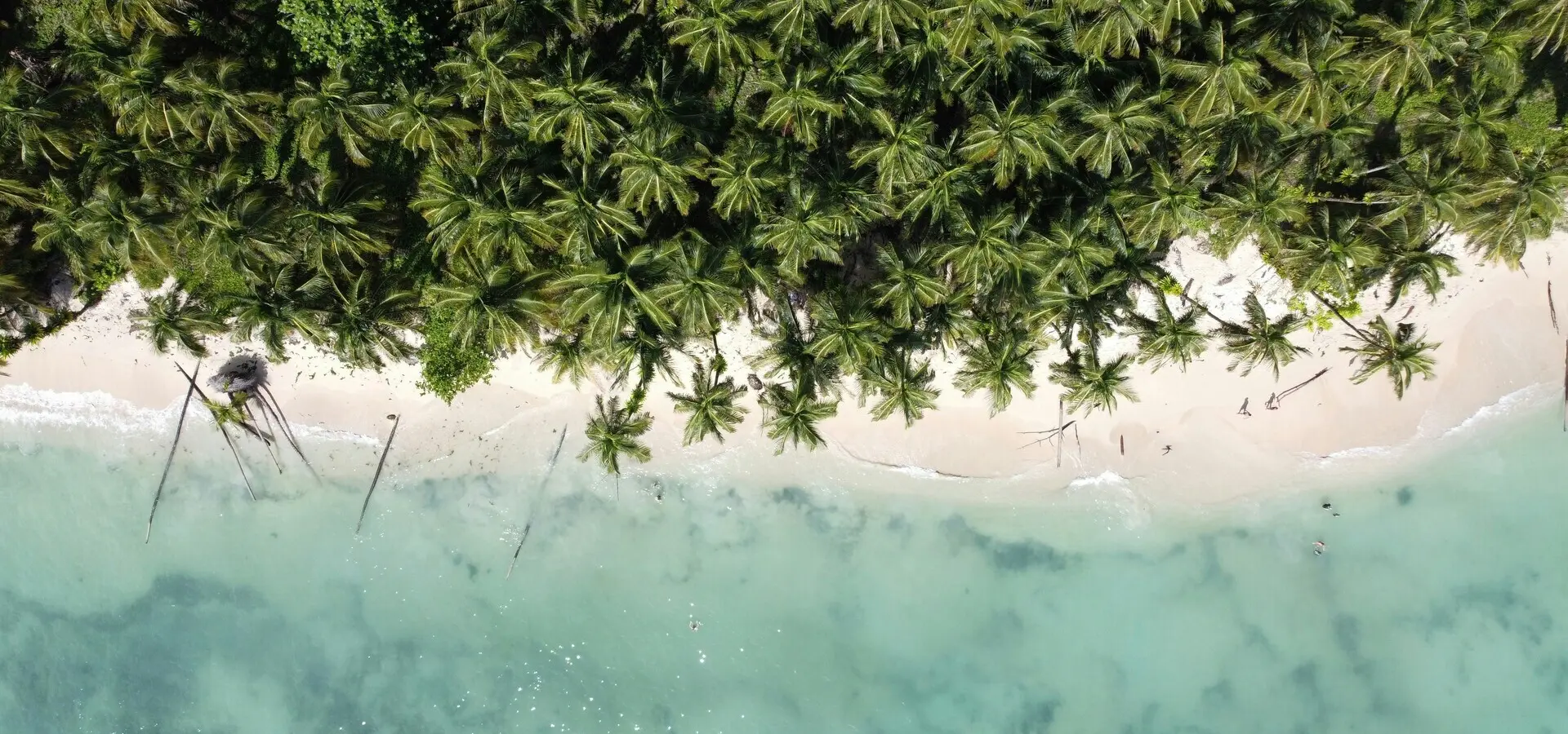 Avila Travel Panama beach