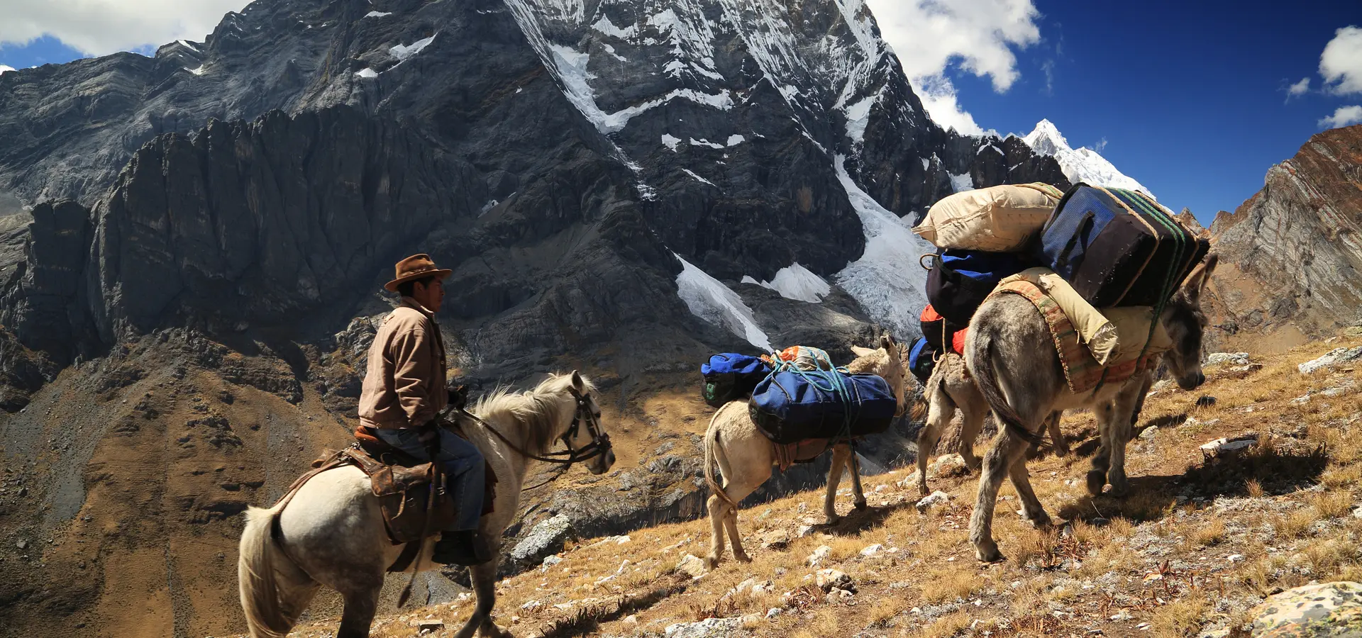 Avila Travel Peru horses