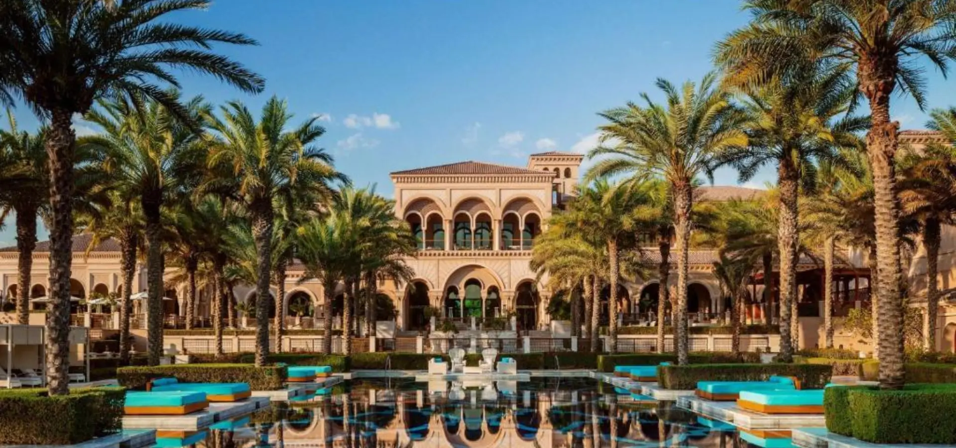One Only The Palm