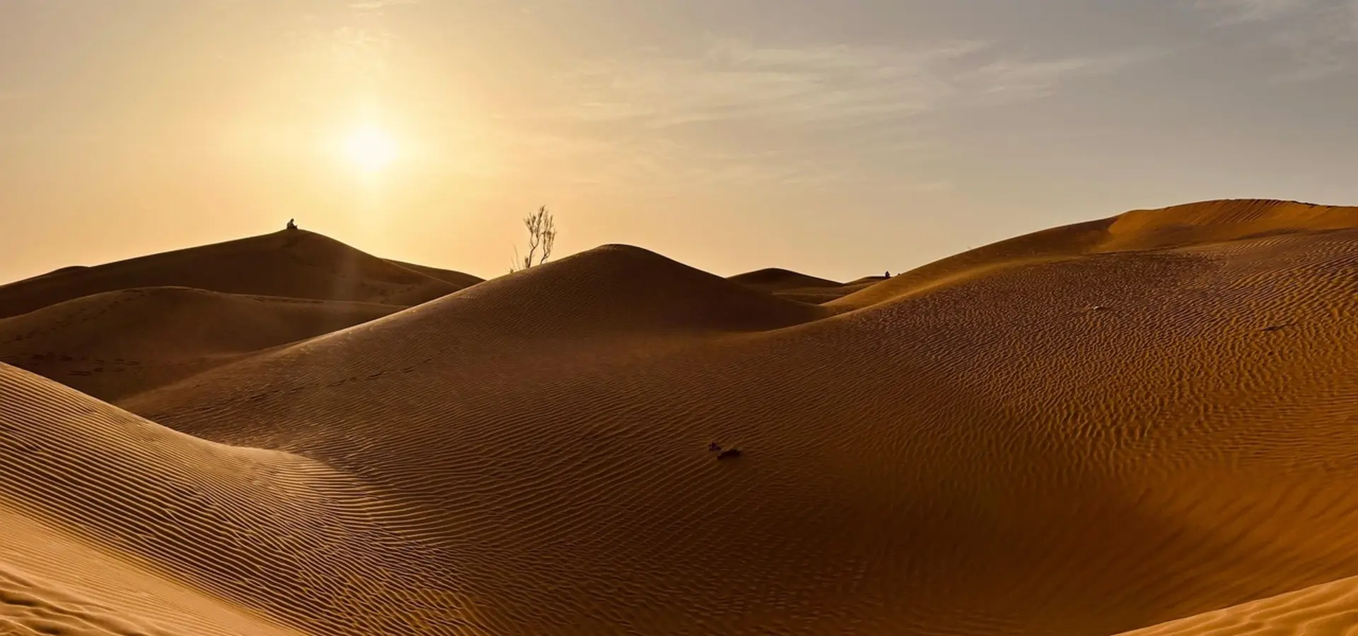 Avila Travel Oman desert