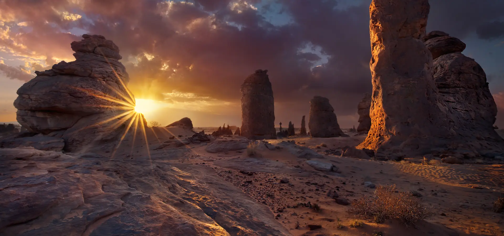 Avila Travel Saudi sun