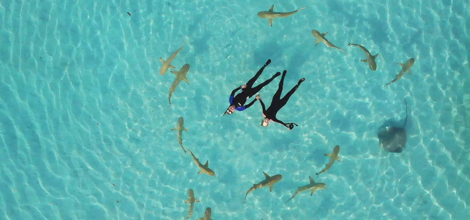 Avila Travel French Polynesia Moorea diving