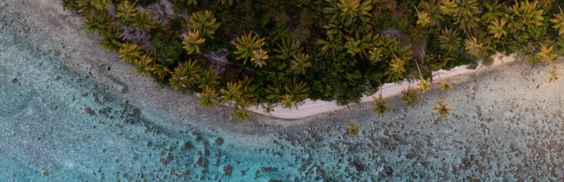 Avila Travel French Polynesia Tahiti coastline