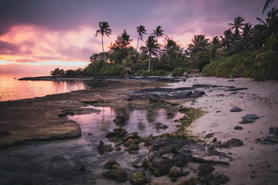 Avila Travel French Polynesia beach with palm trees sunset