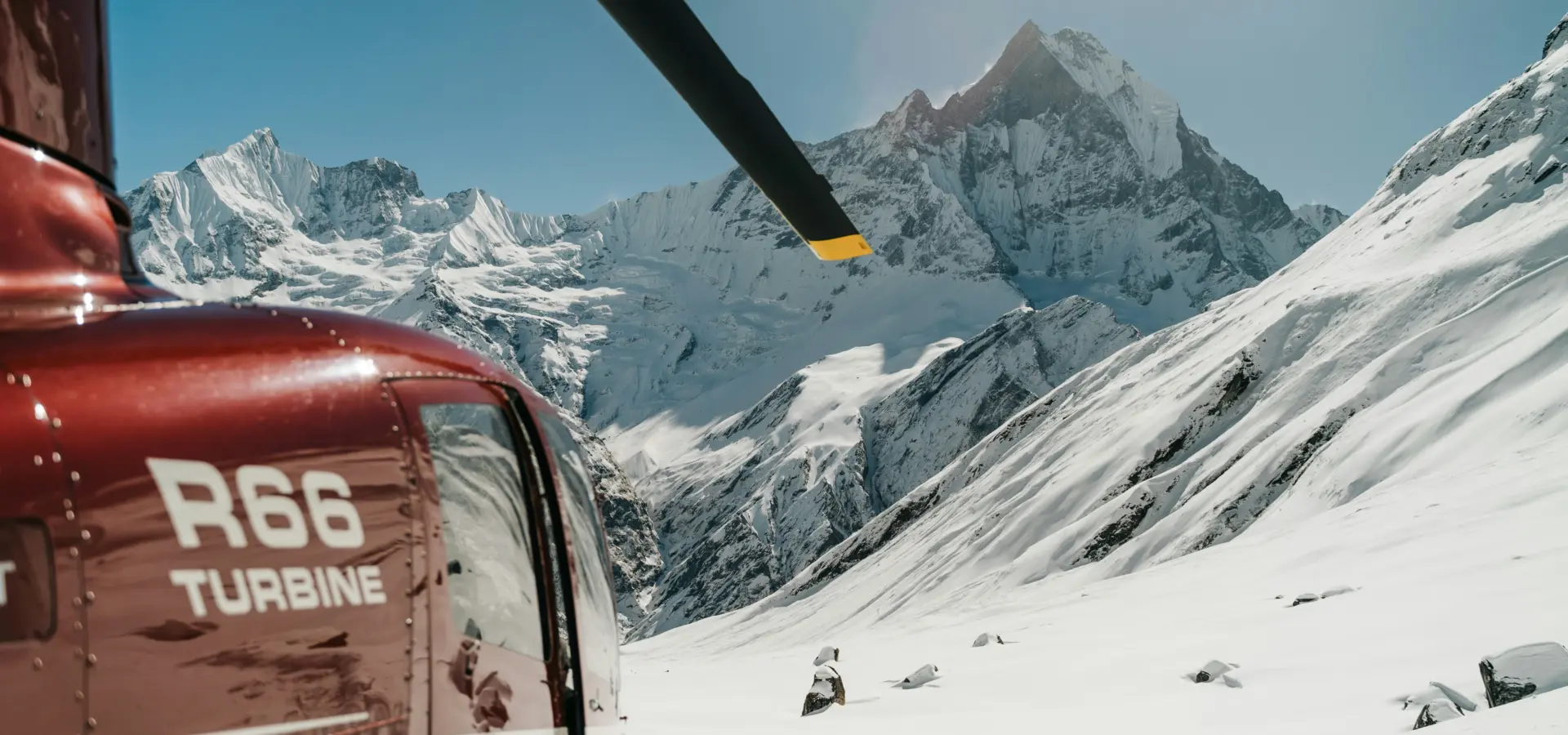 Avila Travel heliskiing