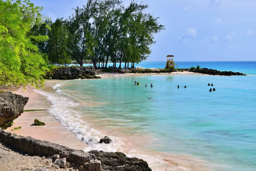 1768834248183anthony ingham eel2mykzd0o unsplash