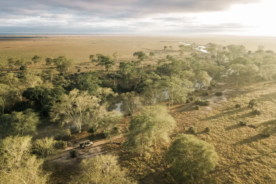 1752756187011 Gorongosa Safaris 42