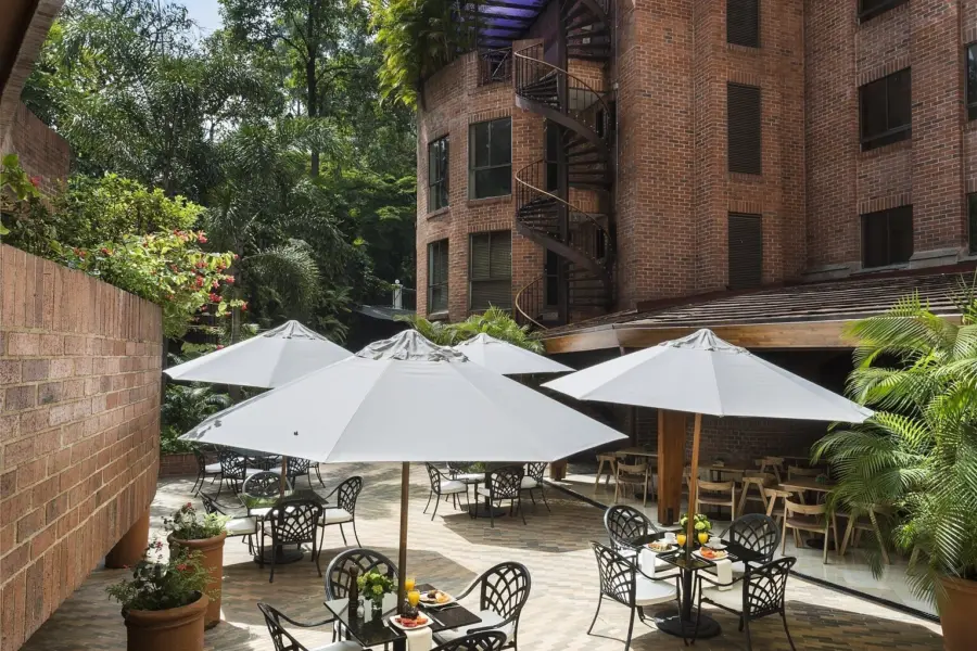 Terraza park 10