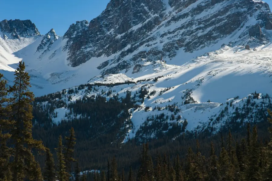 1763748705526jasper guy tfwjfjjtz3o unsplash