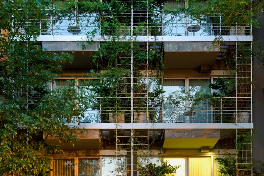 Palosanto hotel facade