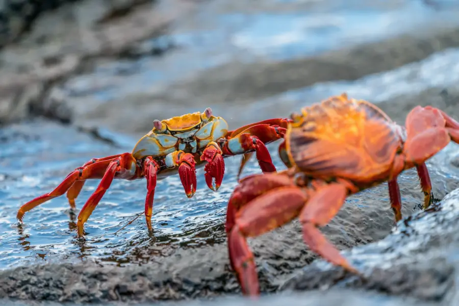 Rod long ckwqazrtiwu unsplash