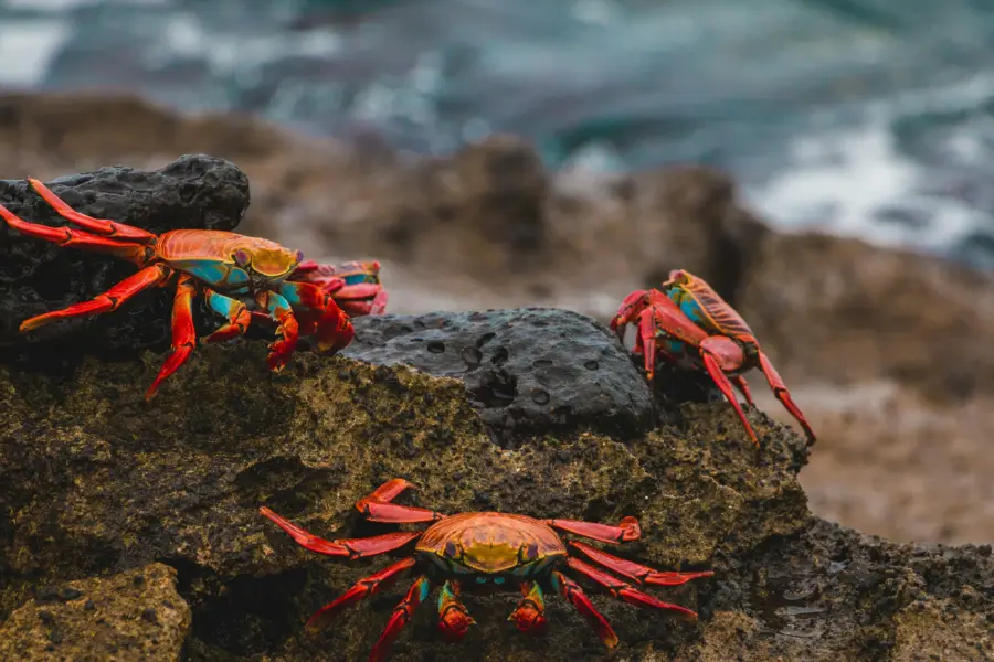 Amy perez en24lvcahw0 unsplash