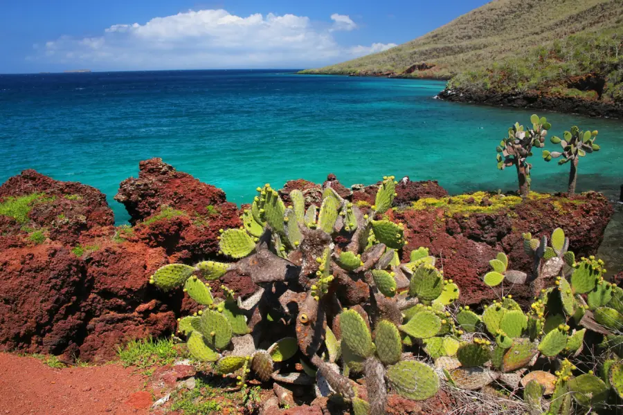 Galapagos 3