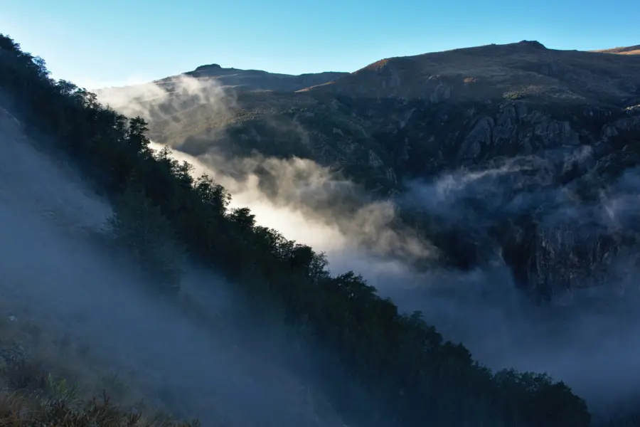 Tomas Sobek w IU Uyny2 Nj4 Unsplash