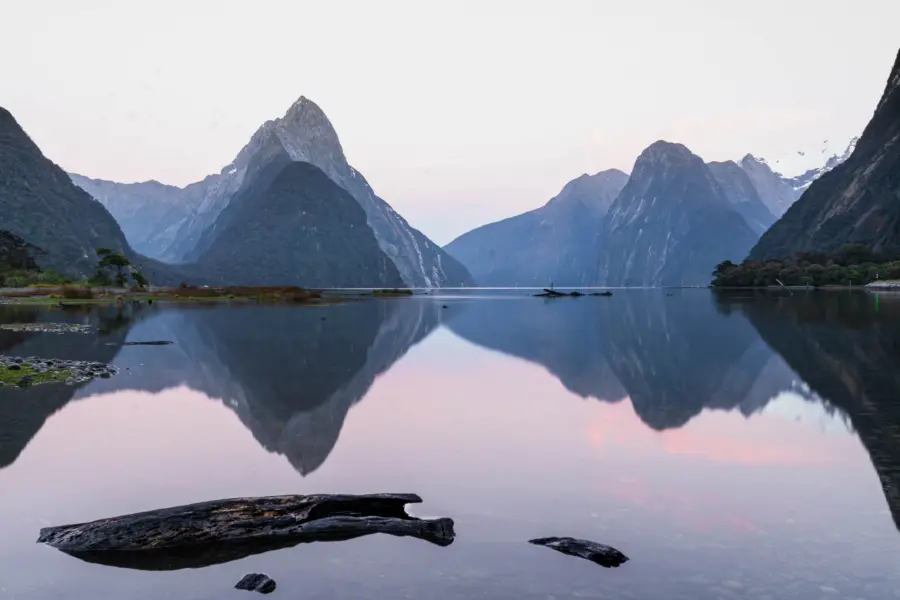 Thomas itzler 6f6wogqkt2i unsplash