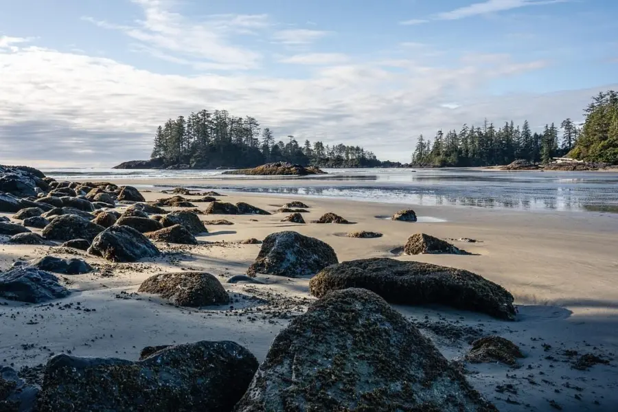 Beach 45380811280