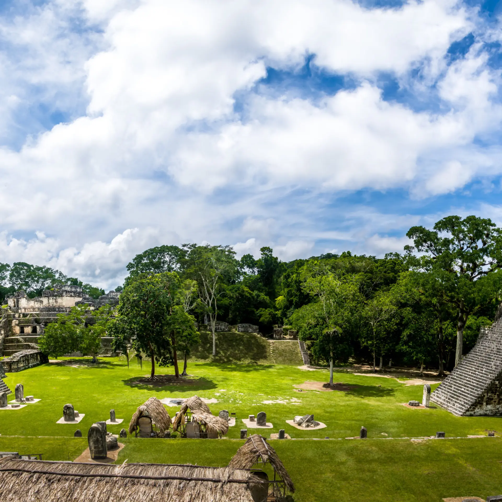 Tikal national park