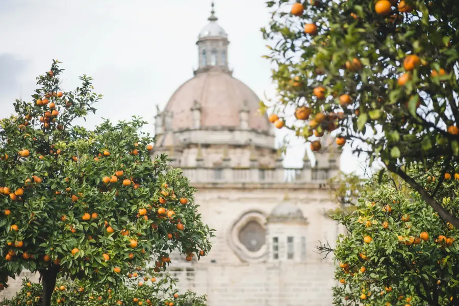 Olga angelucci erge5go28f4 unsplash