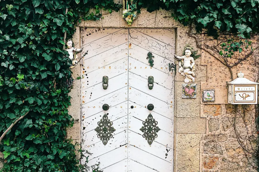Sedki alimam 7abz b2uyey unsplash
