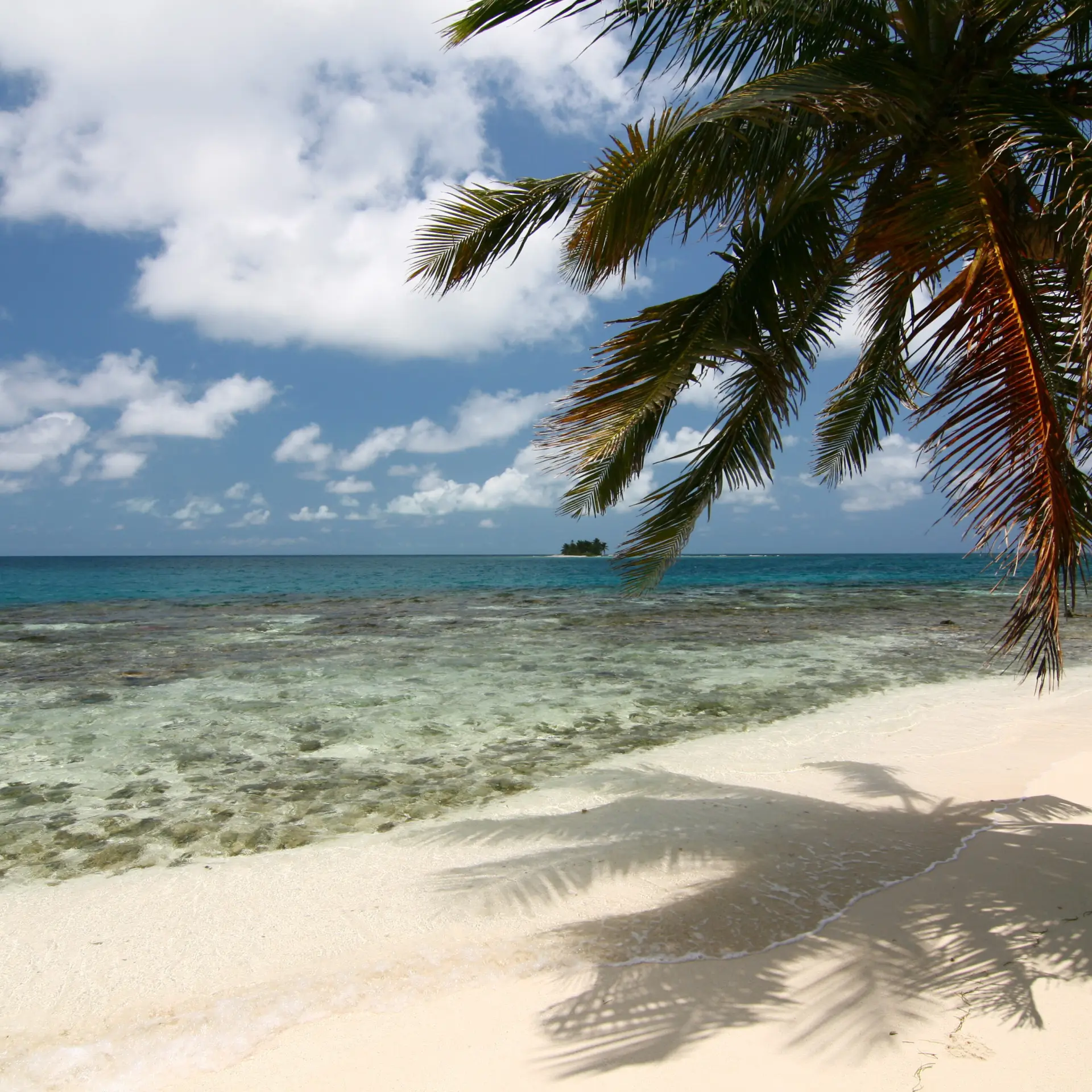 Silk Caye, Stann Creek, Belize 2