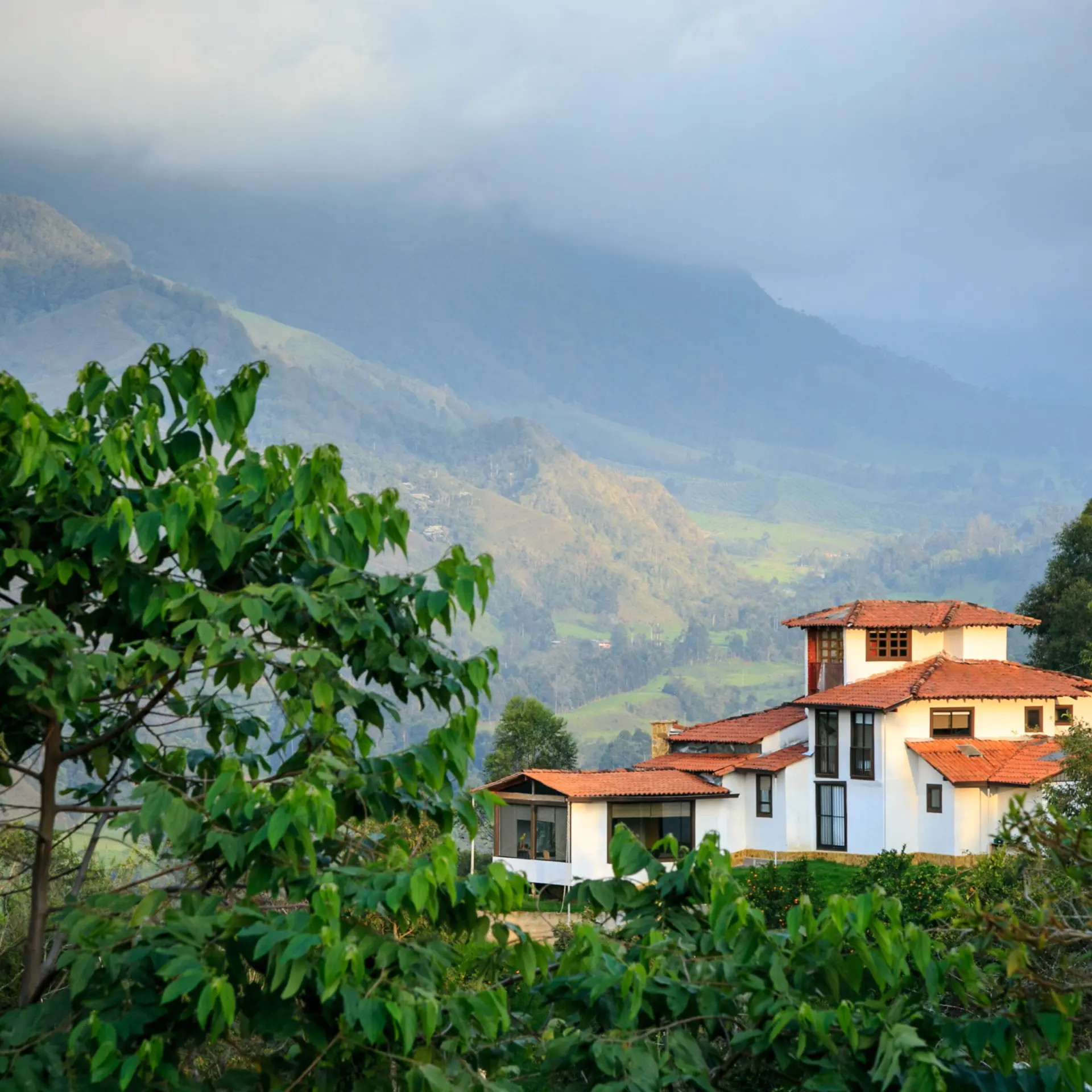 Colombia coffee region1