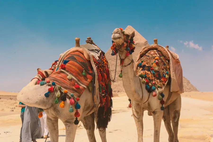 Omar elsharawy vvmbsvbtopm unsplash