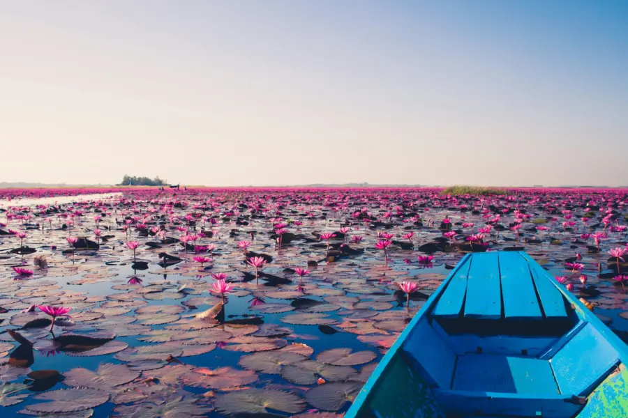 Georgios kaleadis qxzzbqbxto4 unsplash