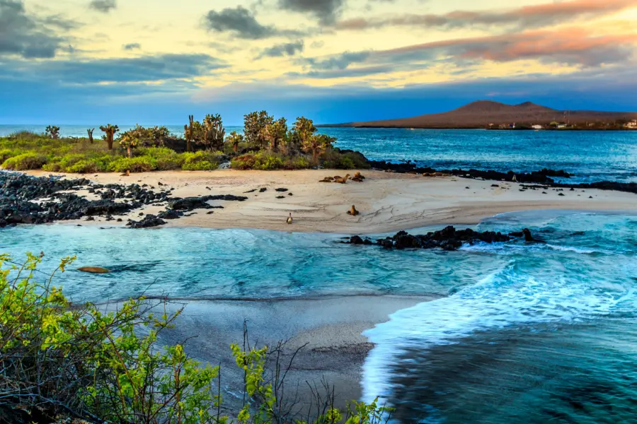 Galapagos 1