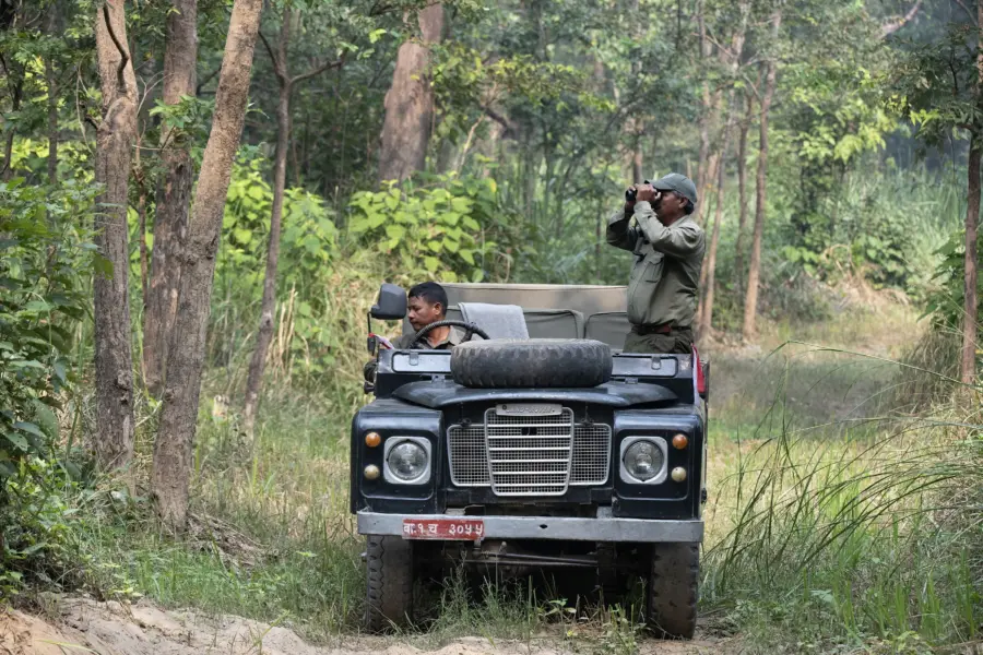 Jeep drive 1