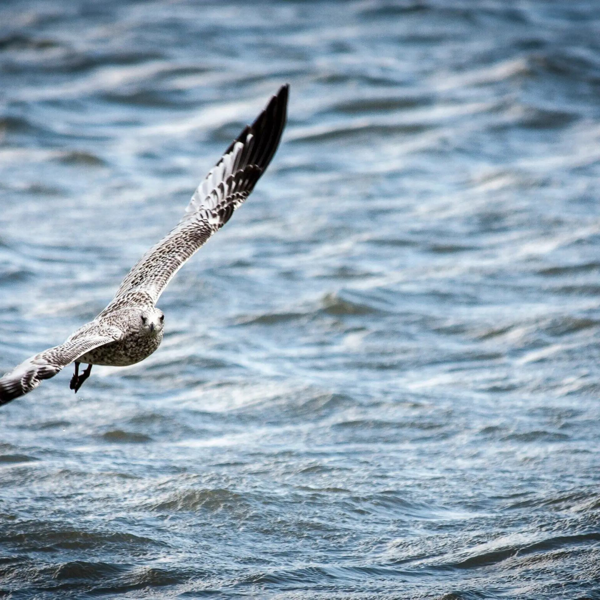 Bob lamotte l5qh1vxsj3e unsplash