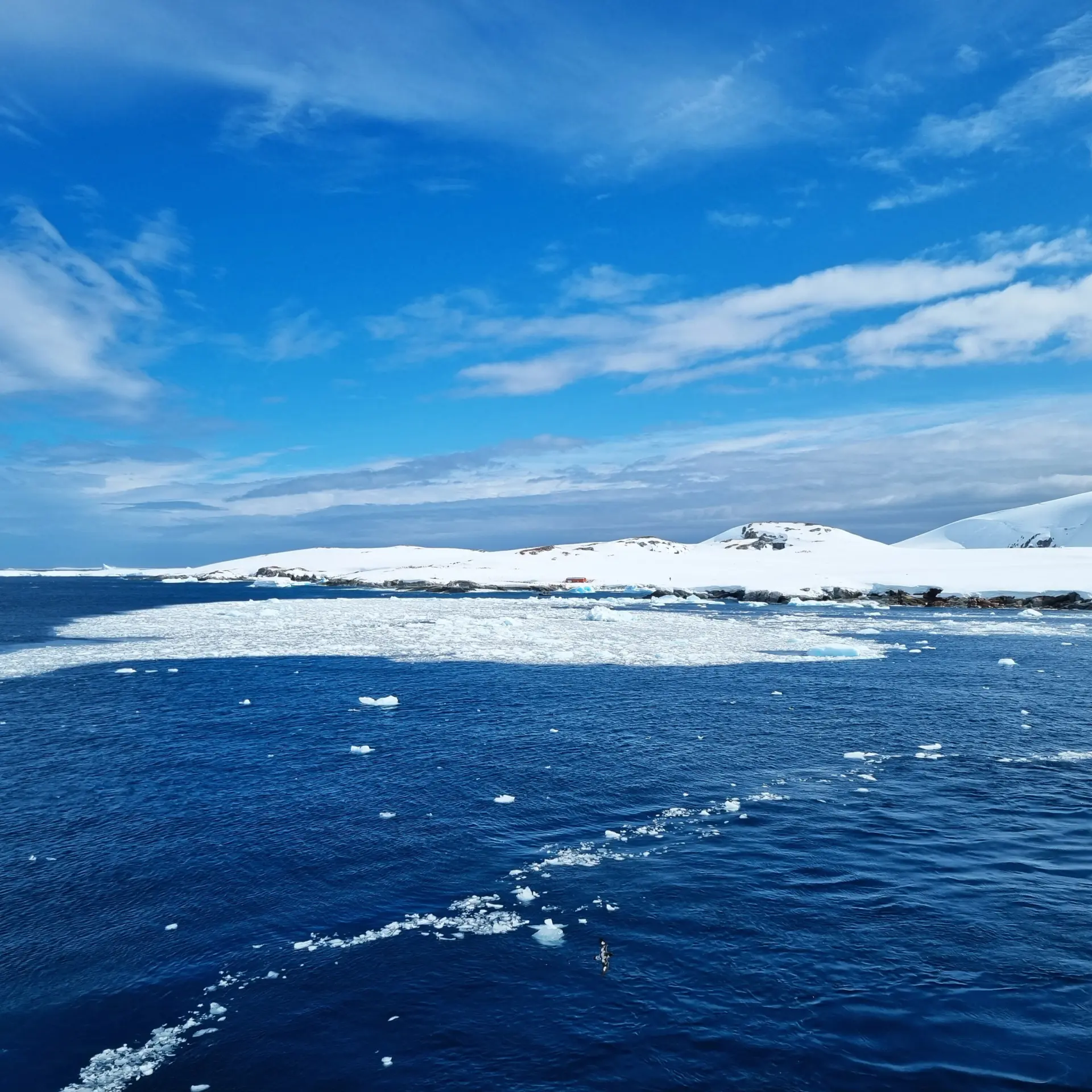 Avila Travel Antarctica Ralph 20221119 142522