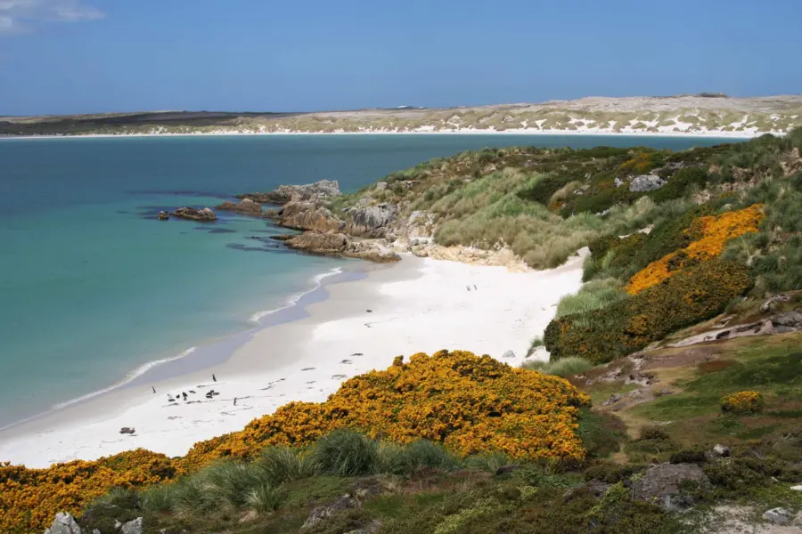 Avila Reizen Falkland Islands2
