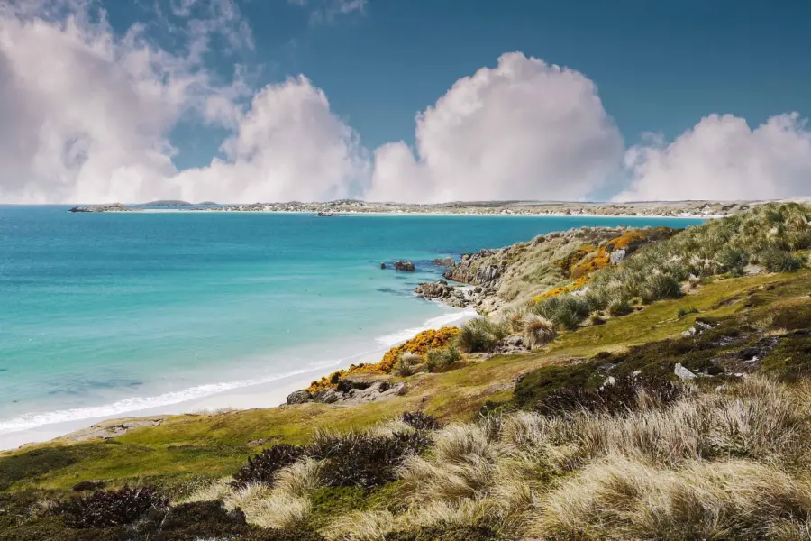 Avila Reizen Falkland Islands Shoreline of the Falkland Islands