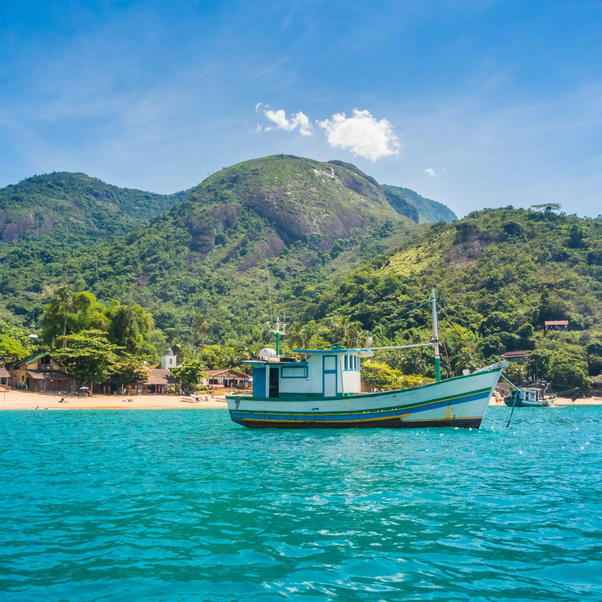 Shutterstock 570919636