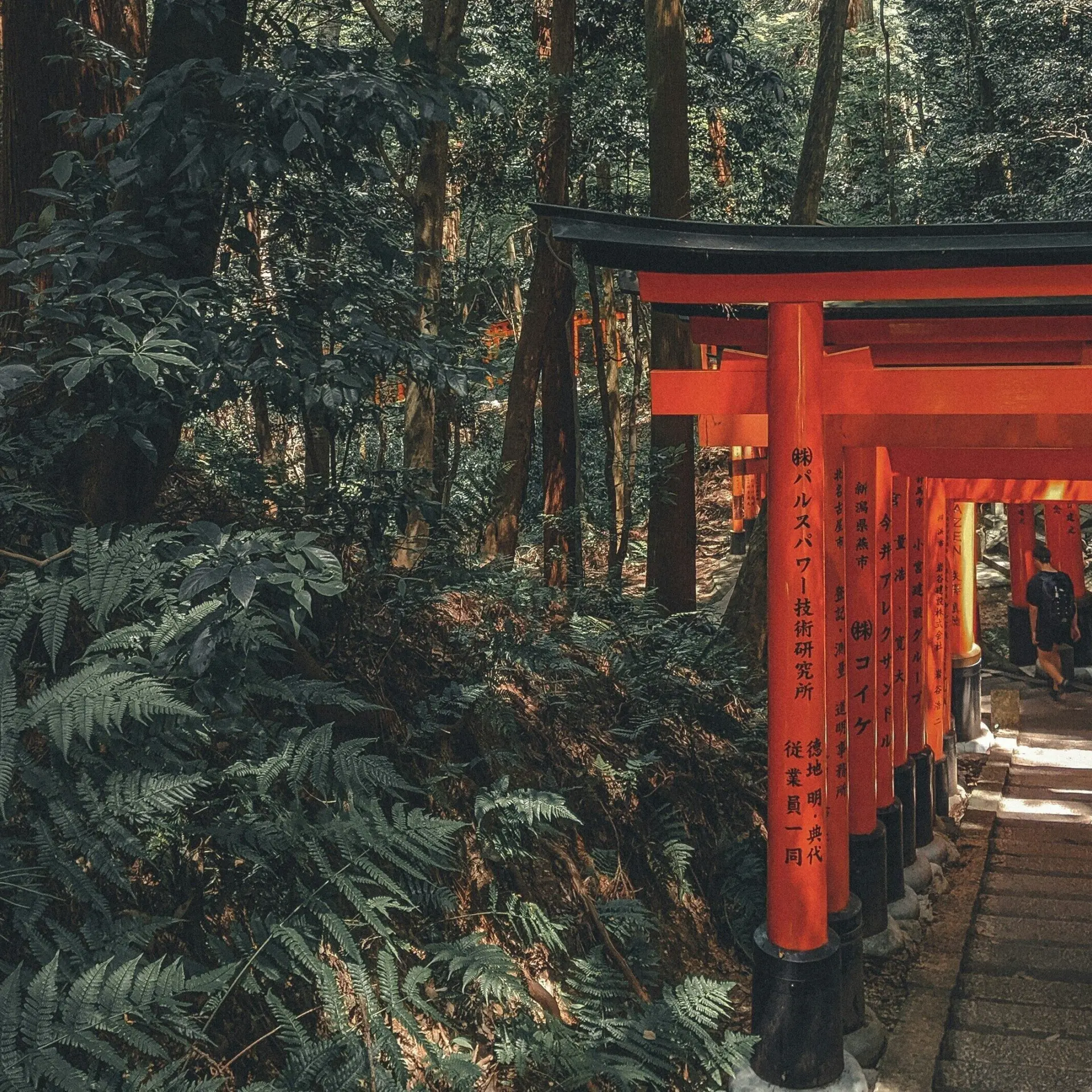 Nathan Demoersman qsnbfo0pei4 Unsplash