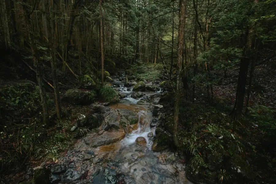 Marione lozano qpcggkazhfu unsplash