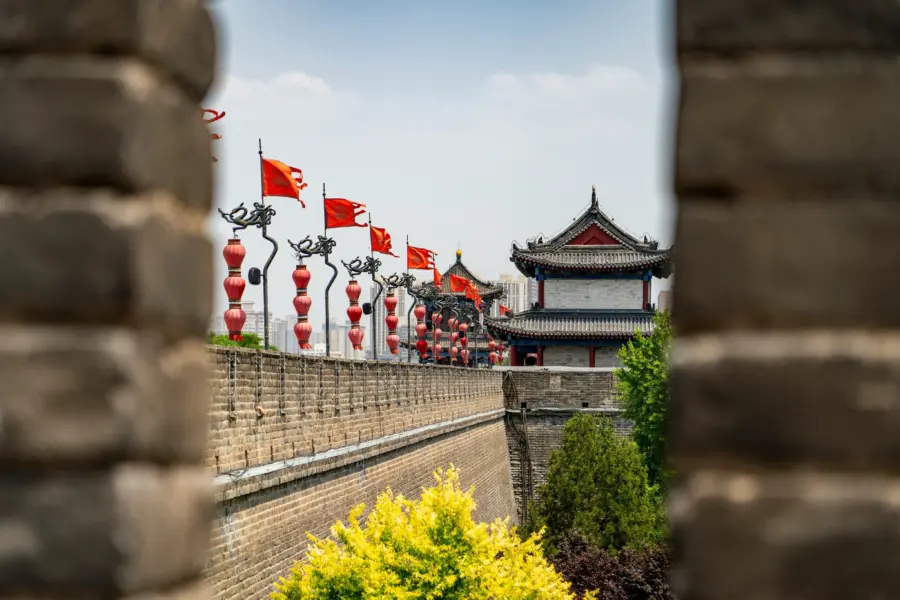 Yihan wang 2cvrysxc8hk unsplash
