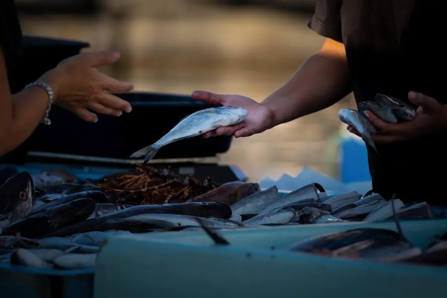 Jimbaran fish market